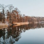 Dagje uit in de winter
